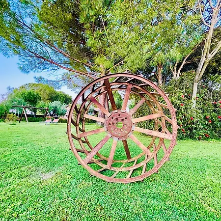 Agriturismo Salcino-3